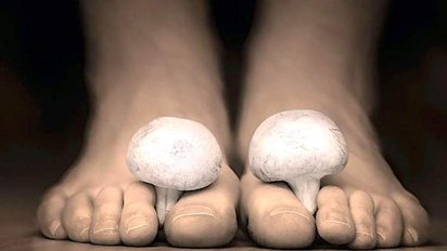 pieds.jpg?resize=412,232 - Mais au fait, pourquoi nos pieds sentent-ils parfois le fromage ?
