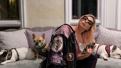 2 lg.jpg?resize=412,232 - Lady Gaga offre une grosse récompense à celui qui l'aidera à retrouver ses chiens