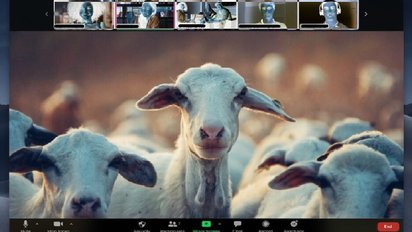 7 zoom.jpg?resize=412,232 - En louant ses chèvres pour des réunions Zoom, une fermière fait un carton dans le monde entier